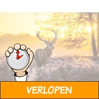 3 dagen Veluwe incl. diner