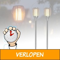 2 x solar fakkel tuinlampen