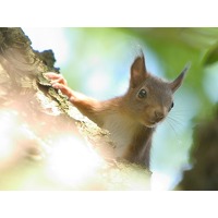 Bekijk de deal van ZoWeg.nl: 3 dagen Drenthe