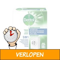 Dettol Hyginische Wasmachine Reiniger - 2 x 250ml