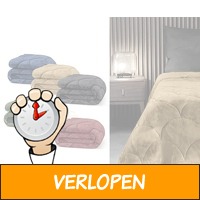 Velvet flanel Lazy dekbed