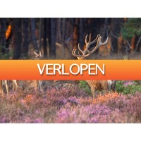 ZoWeg.nl: 3 dagen Veluwe incl. diner