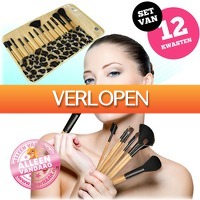 voorHAAR.nl: 12 make-up kwasten in etui