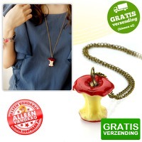Bekijk de deal van voorHAAR.nl: Retro ketting met klokhuis