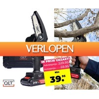 Voordeelvanger.nl: QLT mini kettingzaag