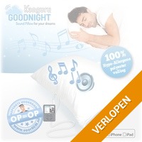 Relaxte Soundpillow