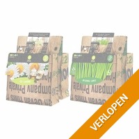 Baza balkontuin kruiden pakket