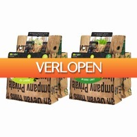 Plein.nl: Baza balkontuin kruiden pakket