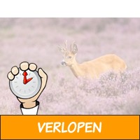 Zoweg Deal! 3 dagen Veluwe incl. diner