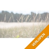 Buitenplaats de Bergse Bossen