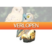 DealDonkey.com 3: Solar LED verlichte uil