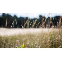 Bekijk de deal van Voordeeluitjes.nl 2: Buitenplaats de Bergse Bossen ontbijtarrangement
