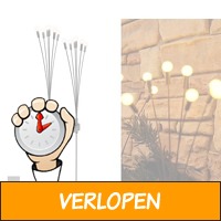 2 x Solar tuinlamp met 6 sprieten