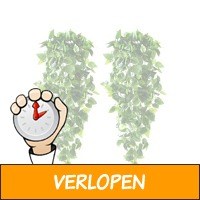 FEDEC Kunst Hangplanten - Hedera klimop slingers - 4 st..
