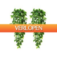 DealDonkey.com: Fedec kunst hangplanten