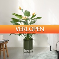 GeheimeDeals.nl: Kunstplant Strelitzia met Oranje Bloemen  130 cm Hoog