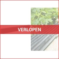 Top product