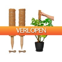 DealDonkey.com 3: 2 x Fedec mosstok voor planten