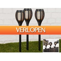 DealDonkey.com 3: HI Solar LED tuinlampen met vuursimulatie - 3 stuks
