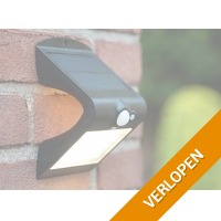FlinQ solar lamp Geisha