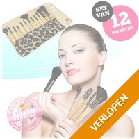 12 make-up kwasten in etui