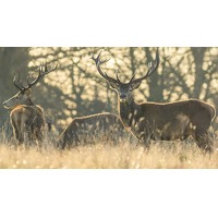 Voordeeluitjes.nl 2: Veluwe Hotel Stakenberg