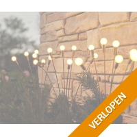 2 x solar tuinlamp Windlicht