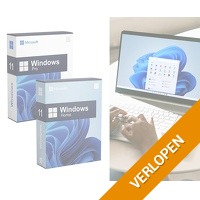 Microsoft Windows 11 Home Of Pro