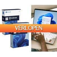 Voordeelvanger.nl: Microsoft Windows 11 Home Of Pro