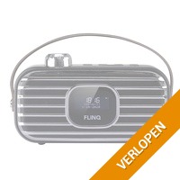 FlinQ DAB+ draadloze speaker