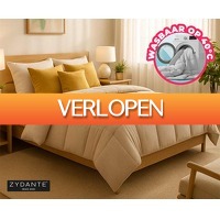 Voordeelvanger.nl 2: Zydante Eazy dekbed