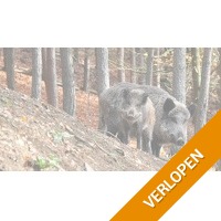 Hotel De Hoeve van Nunspeet