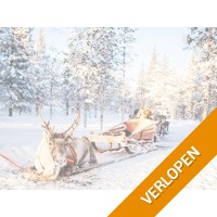 8-daagse winterreis naar Fins Lapland