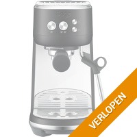 Sage the Bambino Black Truffle