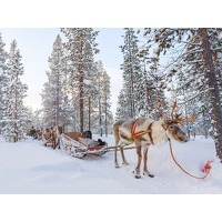 Geniet van een onvergetelijk avontuur naar Finland