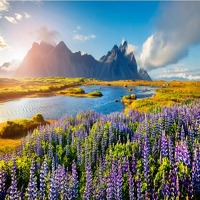 Rondreis IJsland | Golden Circle