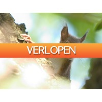ZoWeg.nl: 3 dagen Drenthe