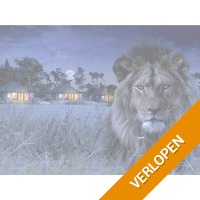 Overnachten in luxe lodge op Safari Resort Beekse Bergen