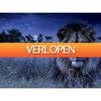 Traveldeal.nl: Overnachten in luxe lodge op Safari Resort Beekse Bergen