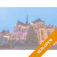 Ontdek de magische kerstmarkt van Leuven