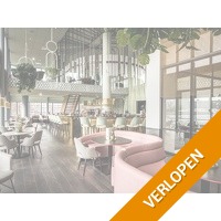 Stad en strand in Haarlem