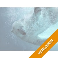 Verblijf 2 dagen in een 4*-hotel in Emmen