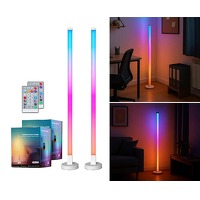 2 x sfeervolle vloerlamp RGB