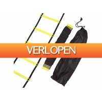 DealDonkey.com 2: NordFalk loopladder