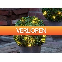DealDonkey.com 2: HI kunstbuxusbol met verlichting