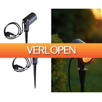 Voordeelvanger.nl 2: 2 x tuinspot op spies