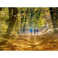 Verblijf 3 dagen op de Veluwe