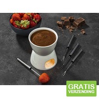 HI Chocoladefondue - set van porselein - Met RVS vorkjes
