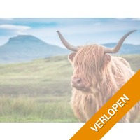 Een once-in-a-lifetime IJsland's avontuur!