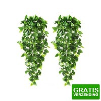 Bekijk de deal van DealDonkey.com 4: Fedec kunst hangplanten